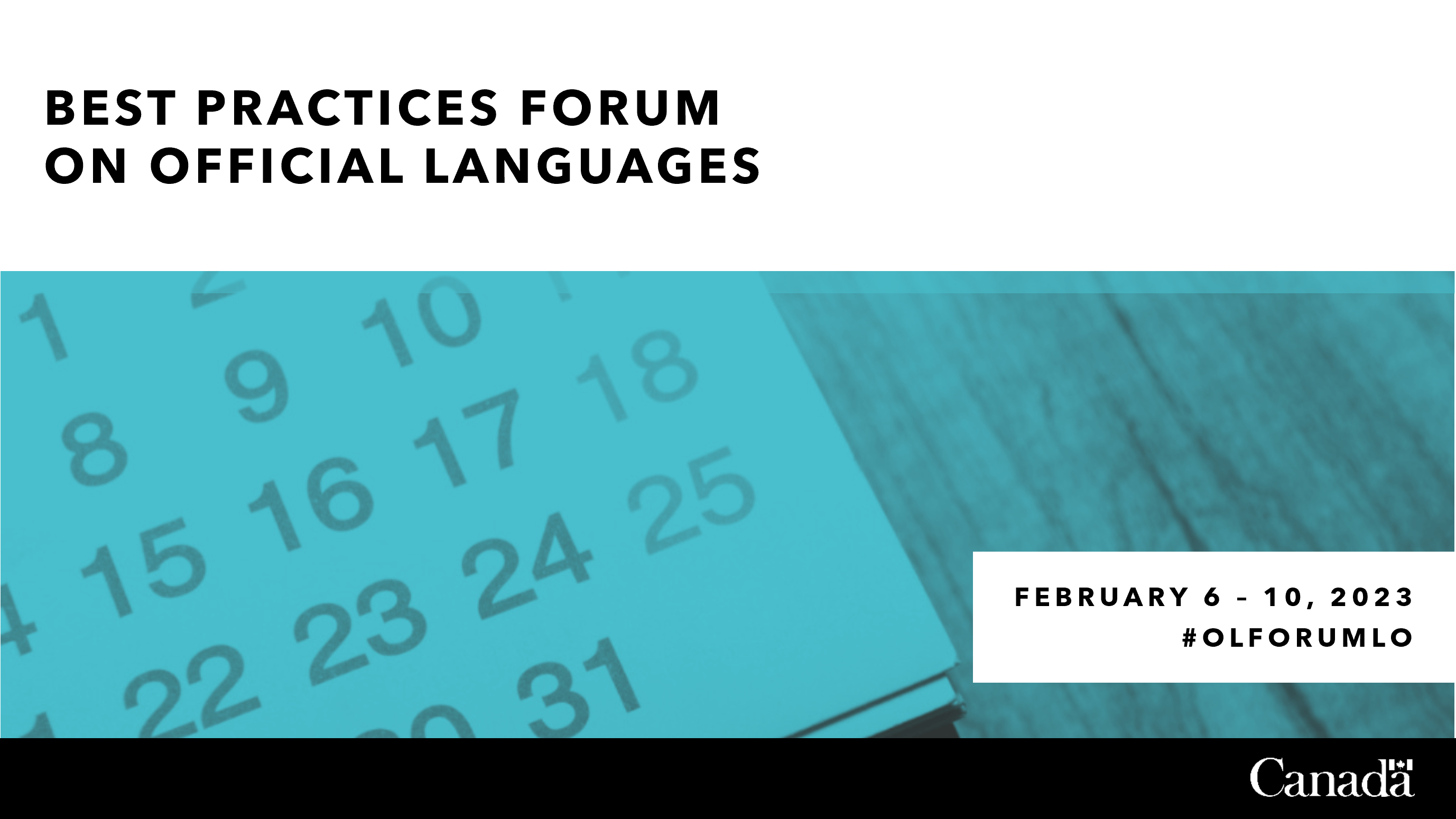 Best Practices Forum on Official Languages Page Header