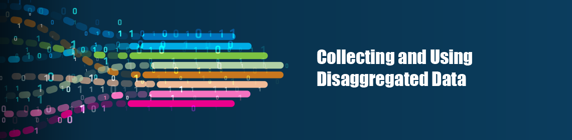 Collecting and Using Disaggregated Data