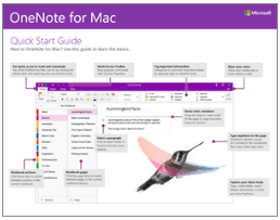 1. OneNote - Guide Mac - EN.PNG