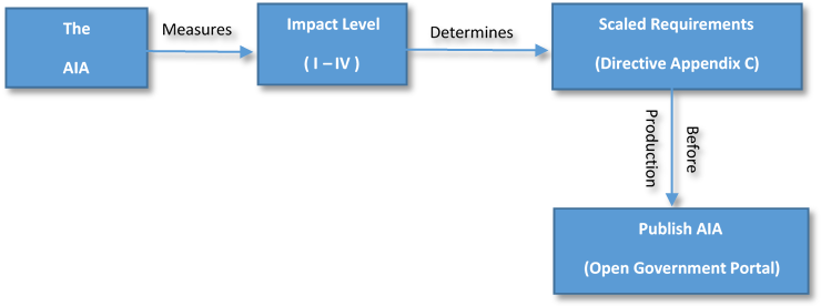 The Algorithmic Impact Assessment Process
