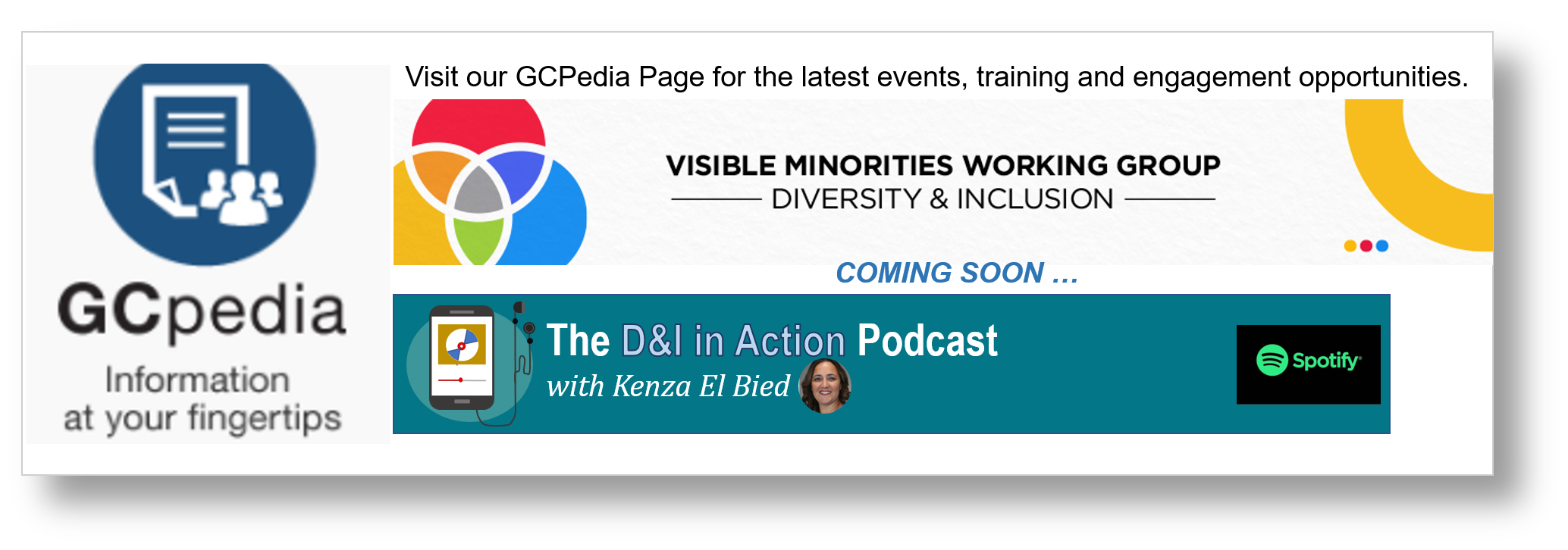 Visit the Visible Minority Working Group GCPedia Page for more on our work.
