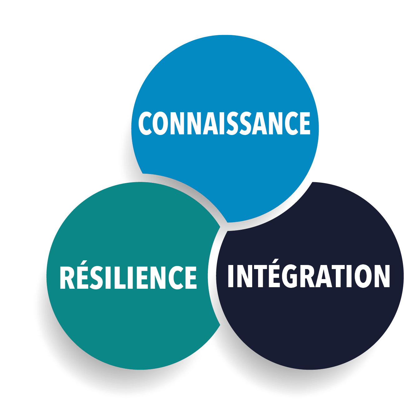 Connaissance Intégration Résilience.png