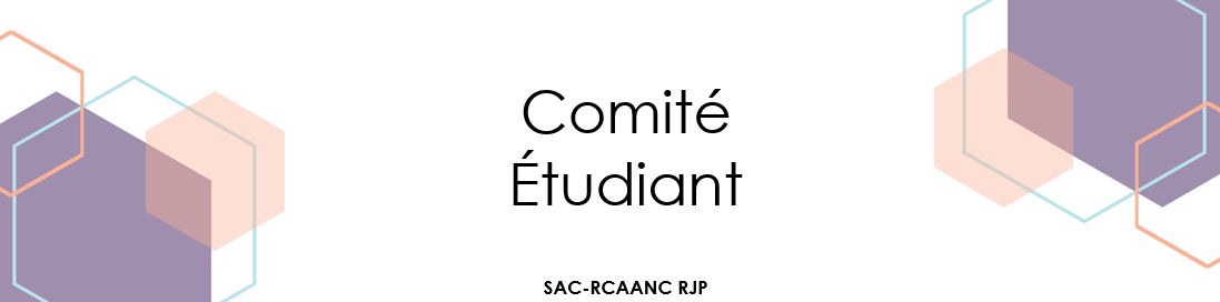 French YPN Student Committee Banner.JPG