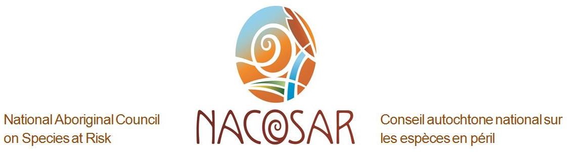 NACOSAR Logo Bilingual.jpg