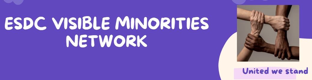 Visible Minorities Network Banner