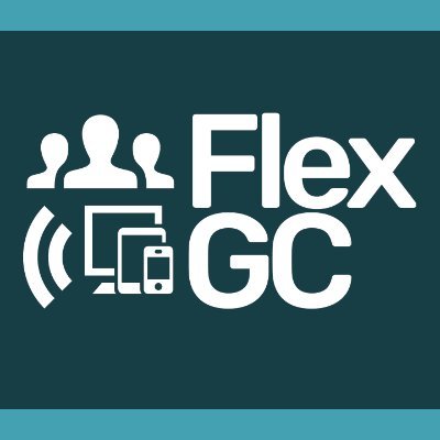 Profile-FLEXGC.jpg