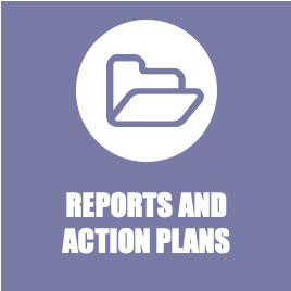 Reports and action plans