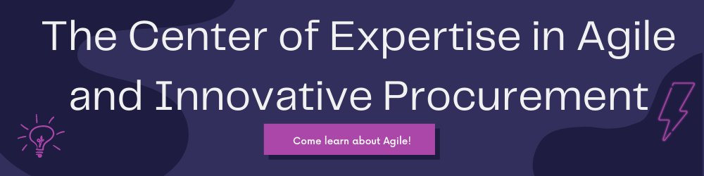 The Center of Expertise in Agile and Innovative Procurement.png