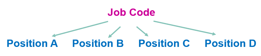 Job code.PNG