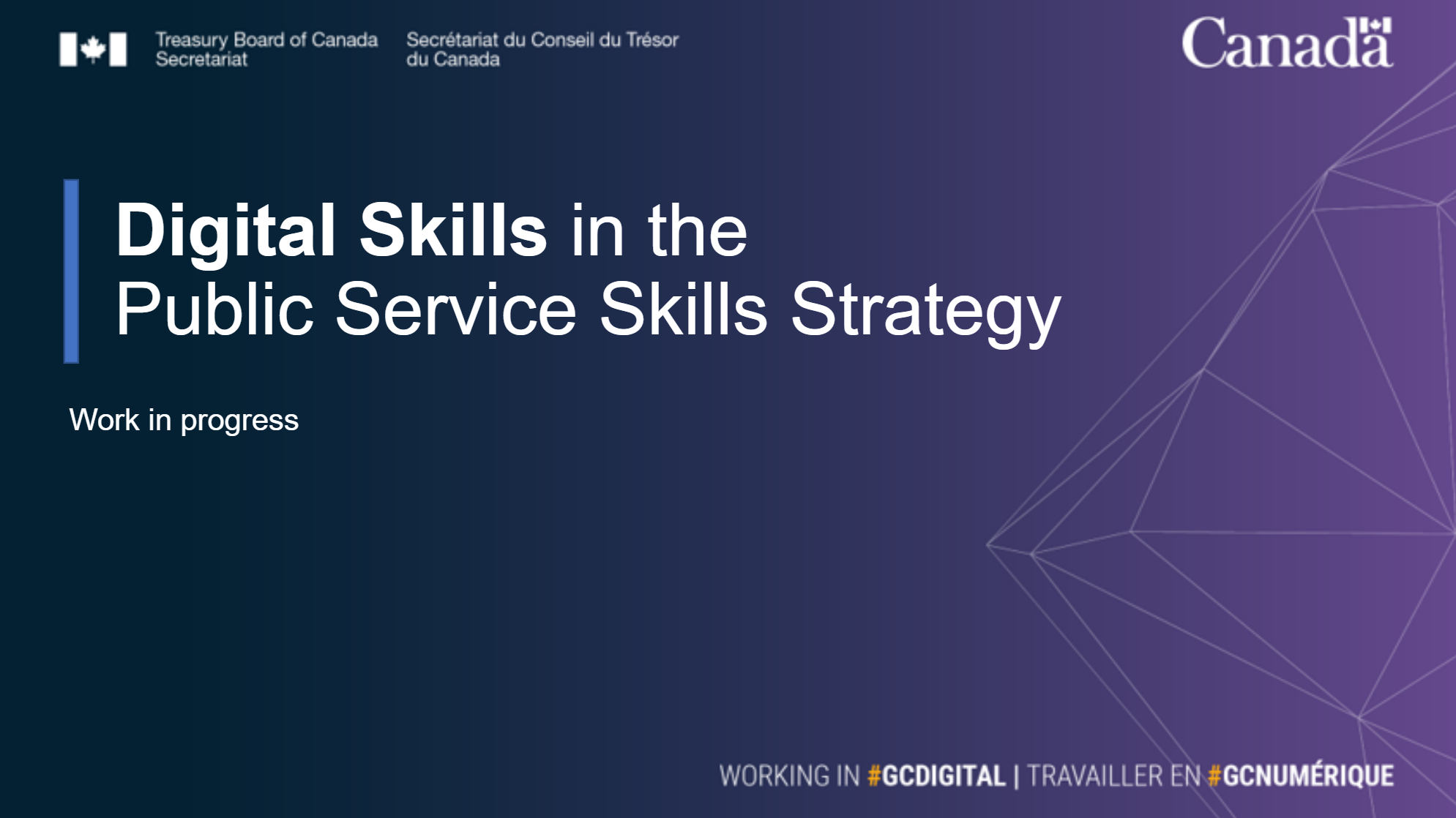 Digital Skills Strategy Title Slide